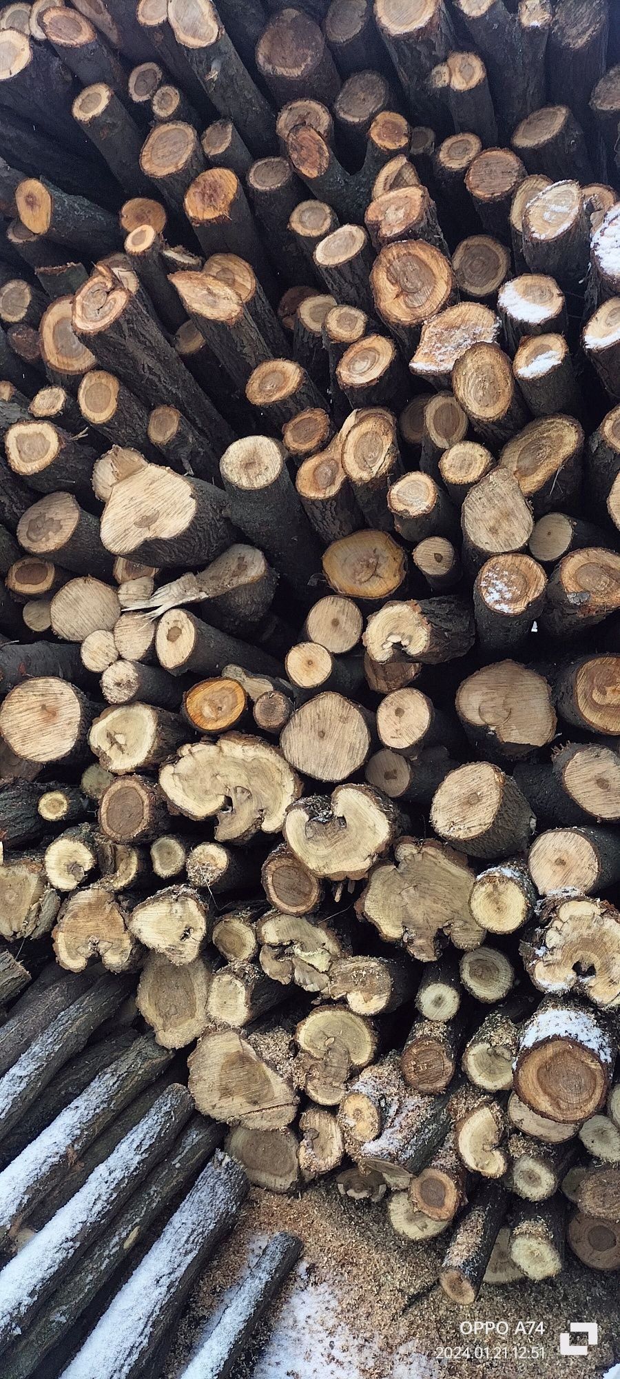 Продам дрова твердолиственных пород
