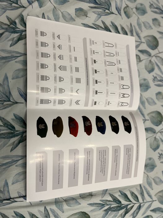 Mundury polskich żołnierzy