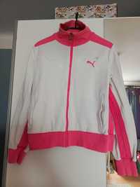 Bluza damska PUMA w rozmiarze 38 / M