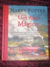 Livro "Harry Potter Um ano mágico"