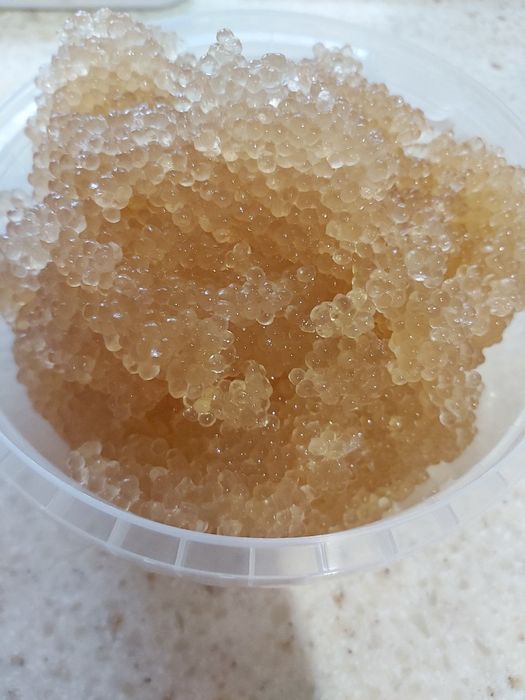 Ікра горбуші, кети та веслонос Икра красная