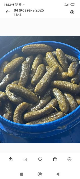 Продам квашені огірки помідори та яблука