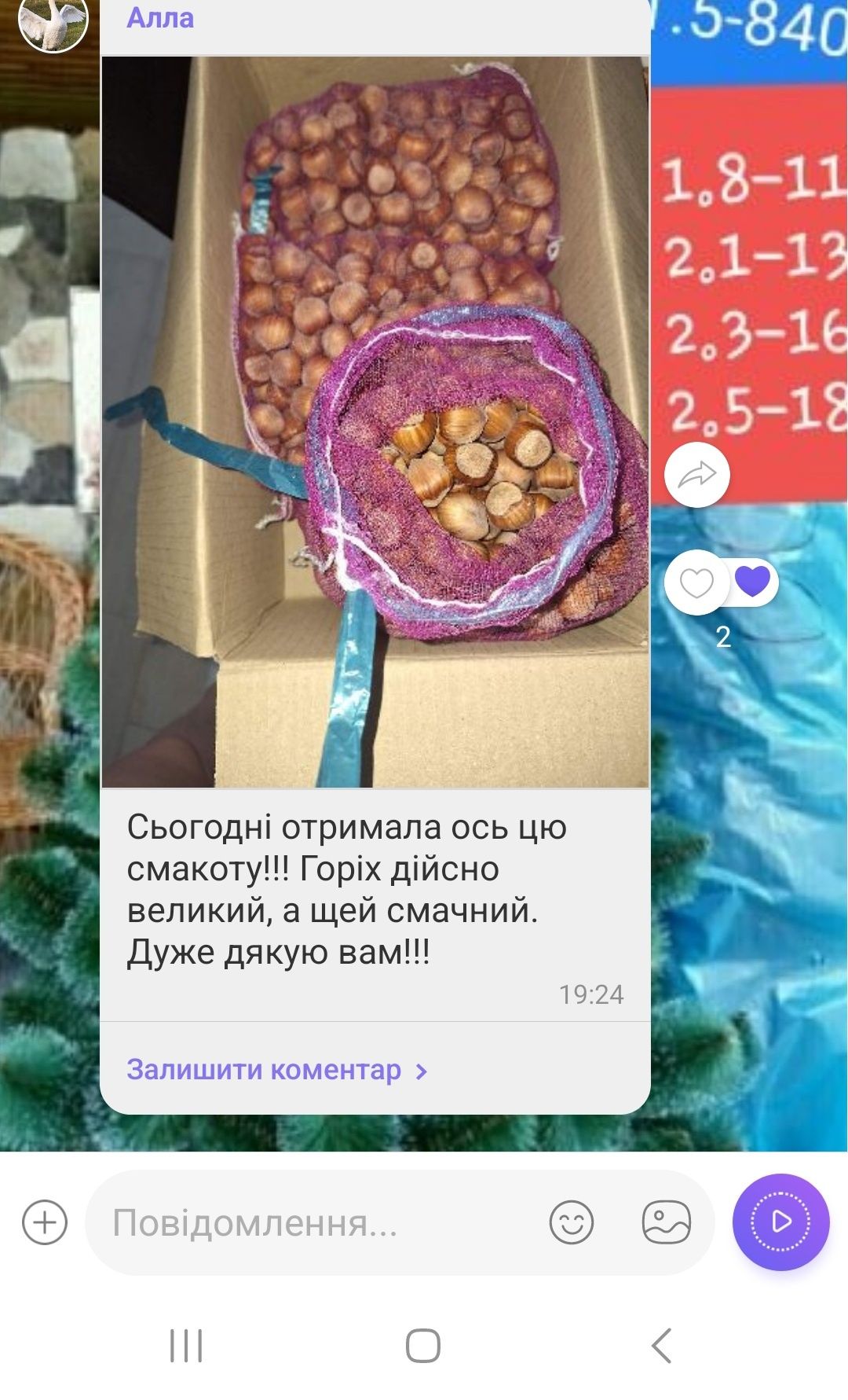 Фундук. Свіжий горіх.  Горішки. Ліщина.