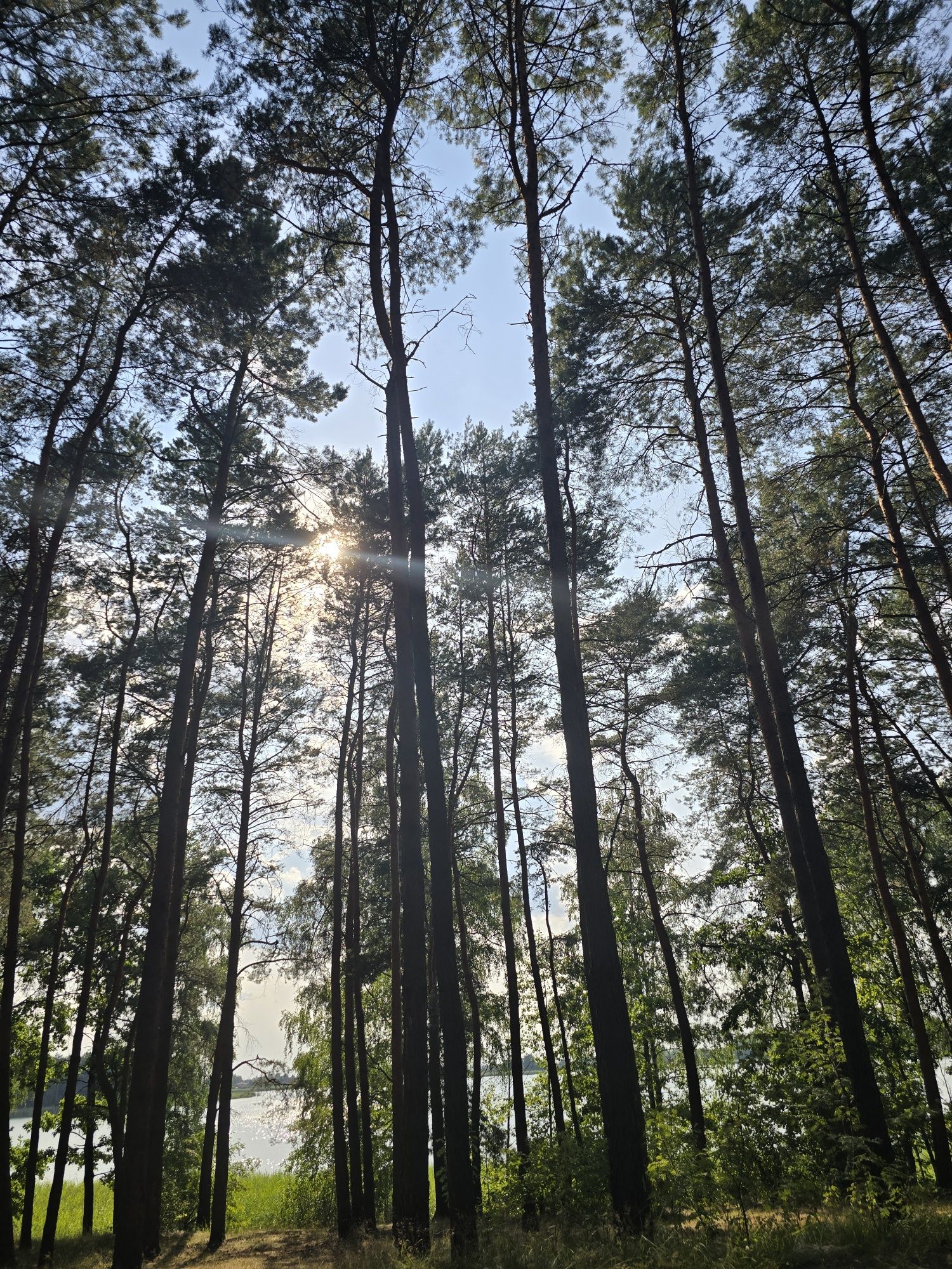 Dom na wyłączność nad jeziorem Krasne dla 8 osób