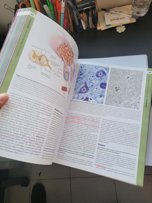 Ross Histologia, Texto e Atlas 7ª Edição