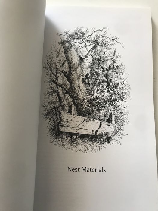 Ovos historia do colecionismo de ovos