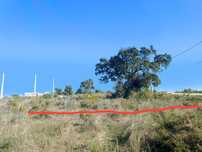 Terreno no Pinhal das Formas
