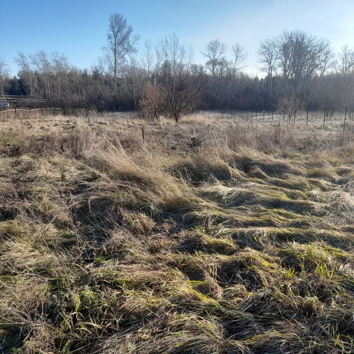 Участок с домом Обуховка