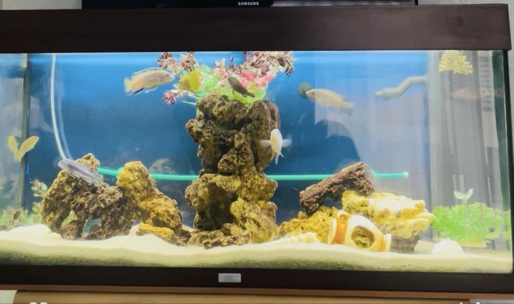 Продам акваріум  Juwel 180 л.