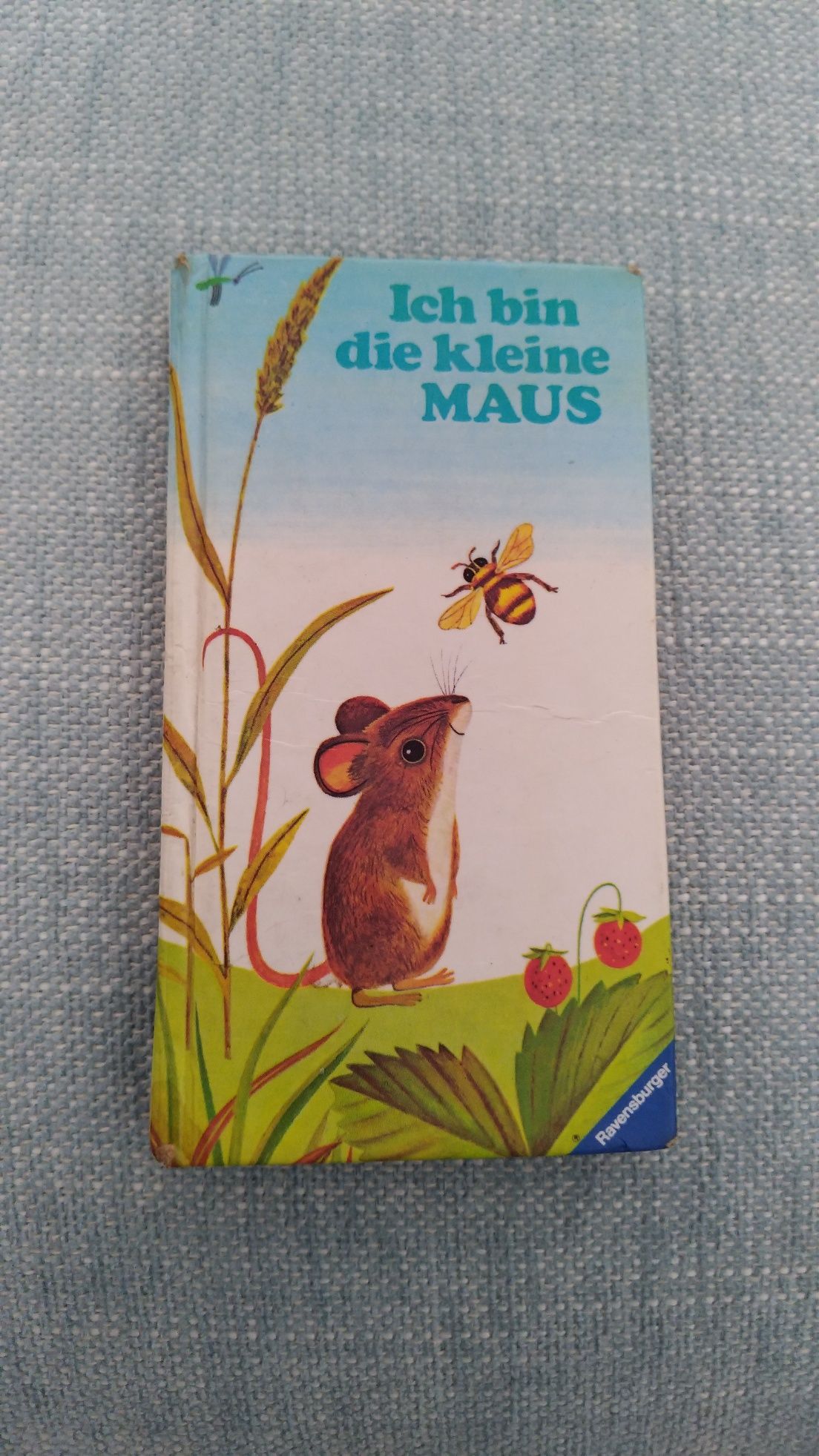 Ich bin die kleine MAUS