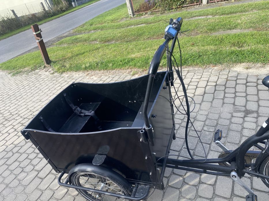 Rower elektryczny-riksza Przyczepka rowerowa