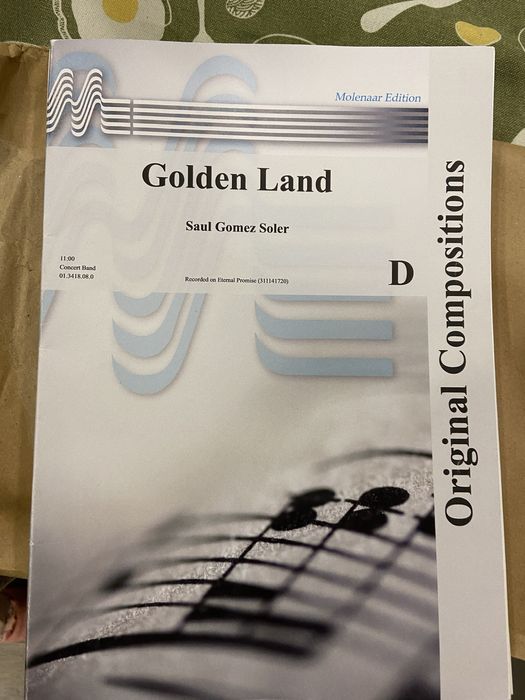 Obra original para banda! GOLDEN LAND(saul soler)novo!!