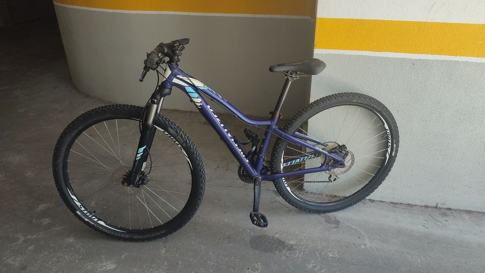 Specialized Jett 29"