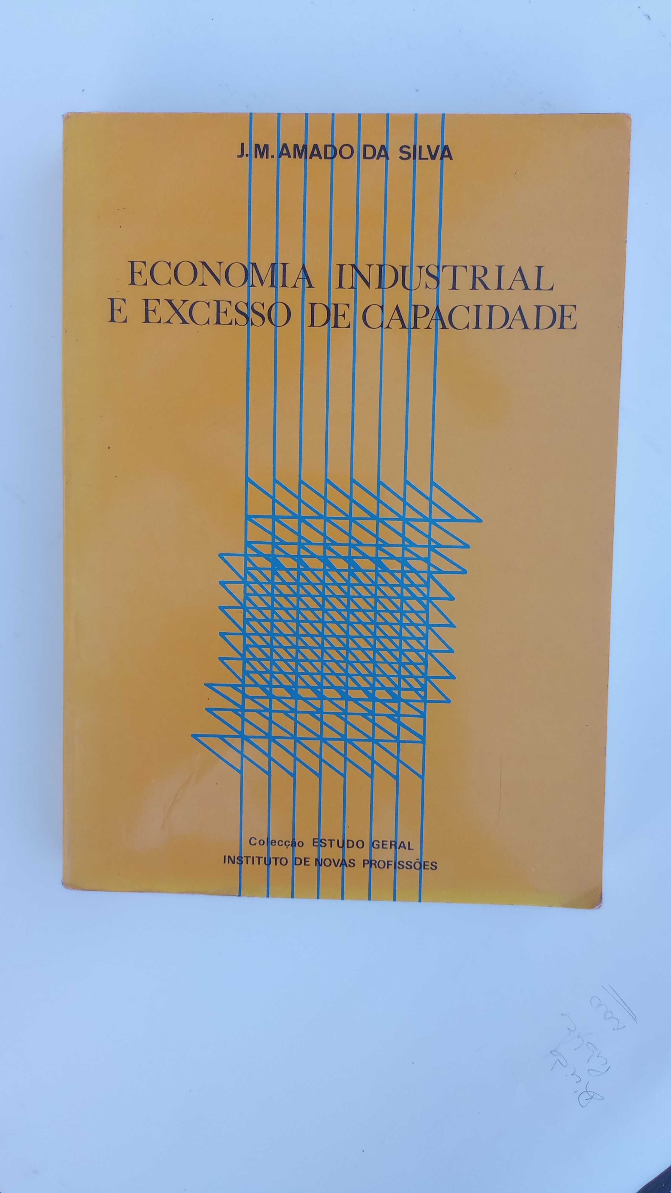 Economia Industrial e Excesso de Capacidade