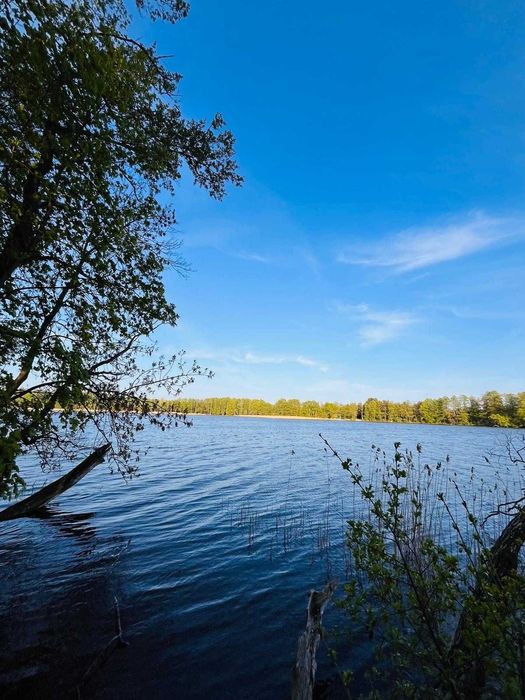 MAZURY DOMEK Nad J. Kalwa  Miłuki k. Pasymia!!!