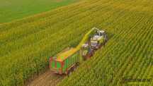 Kukurydza | zbiór | kiszonka | CLAAS Jaguar | SHREDLAGE® | RomaxAgro