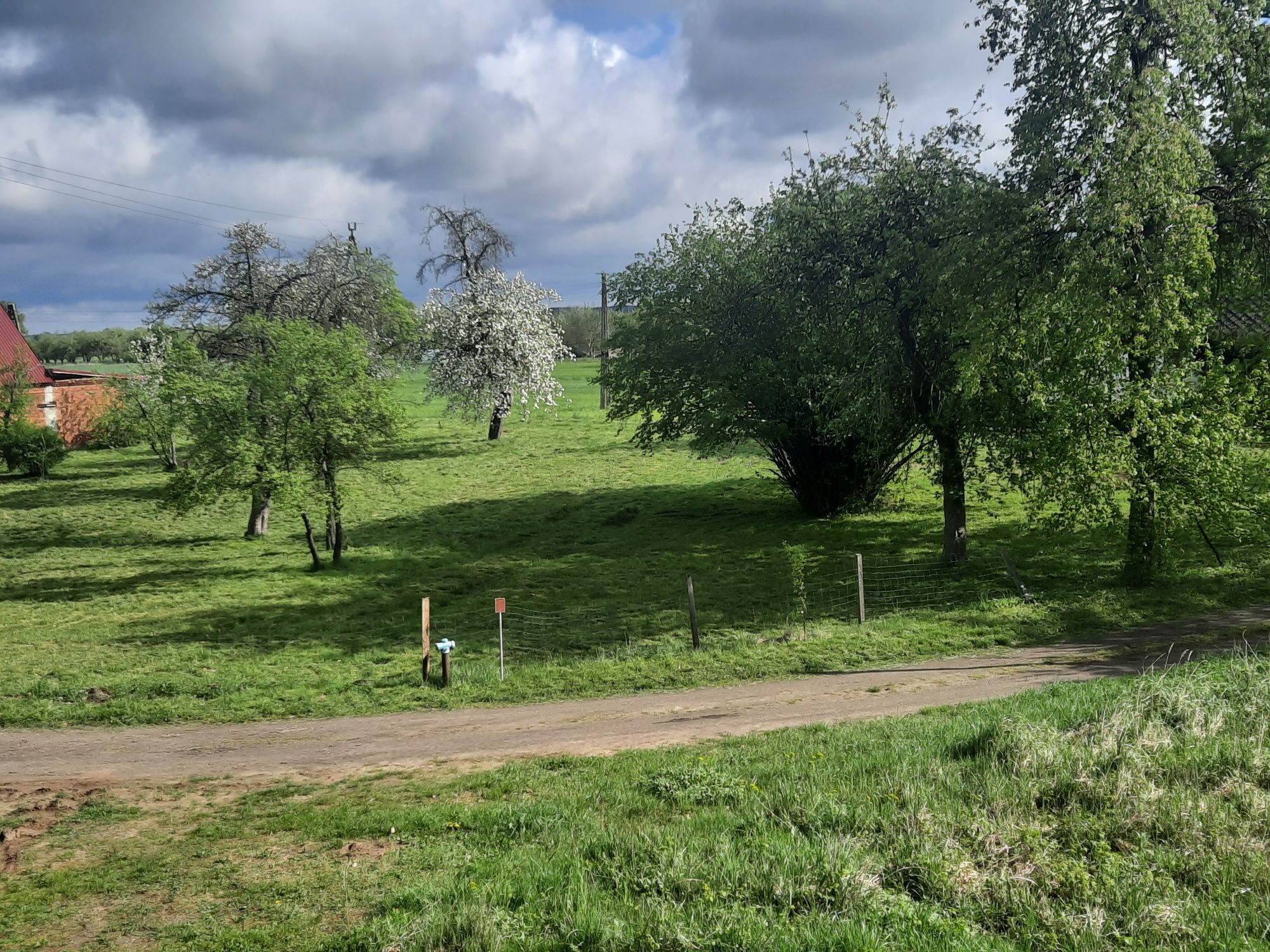 Działka na wsi,66-130 Przewóz,cisza, spokoj, lasy, stawy.