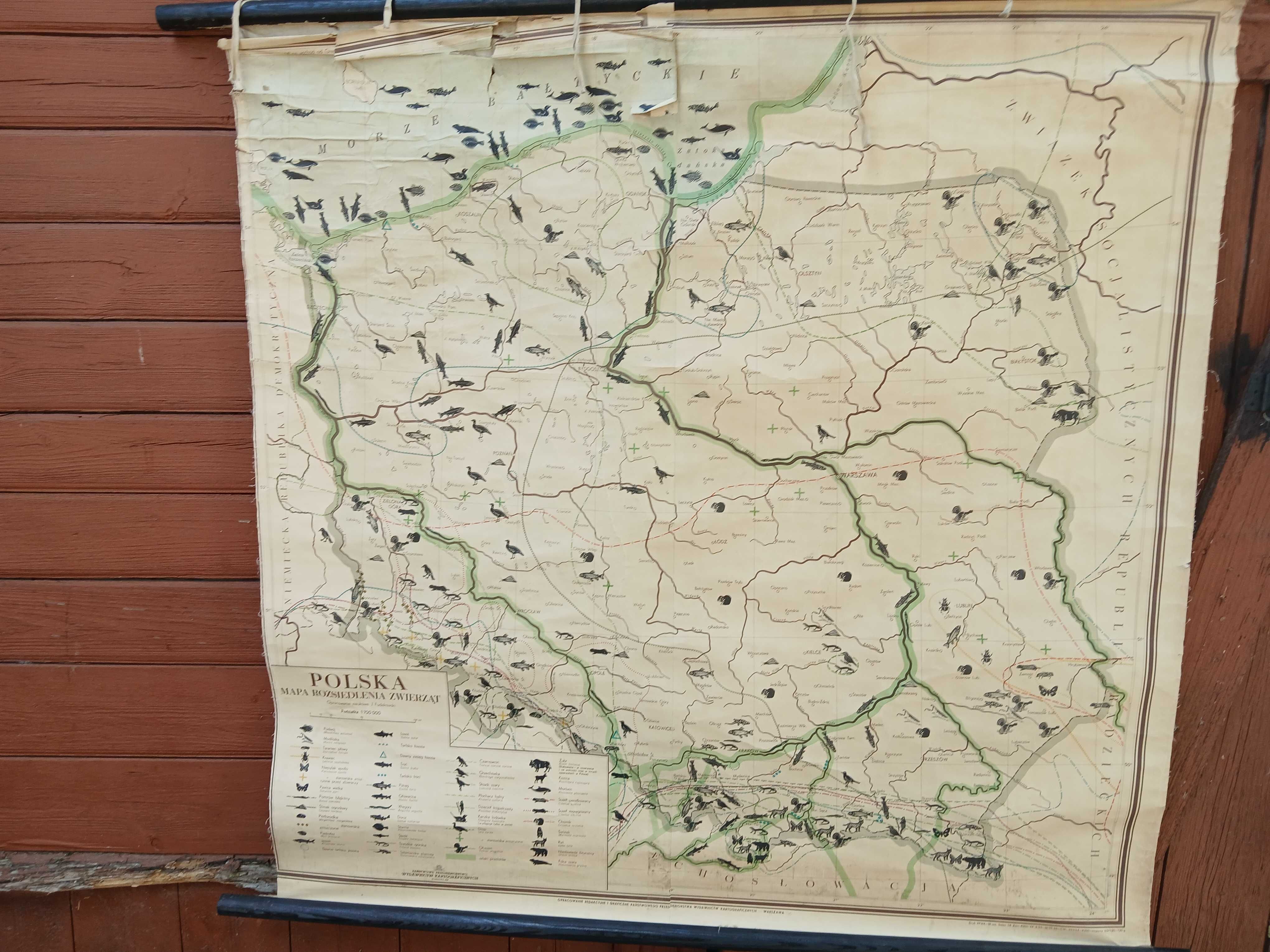 Mapa szkolna plotno