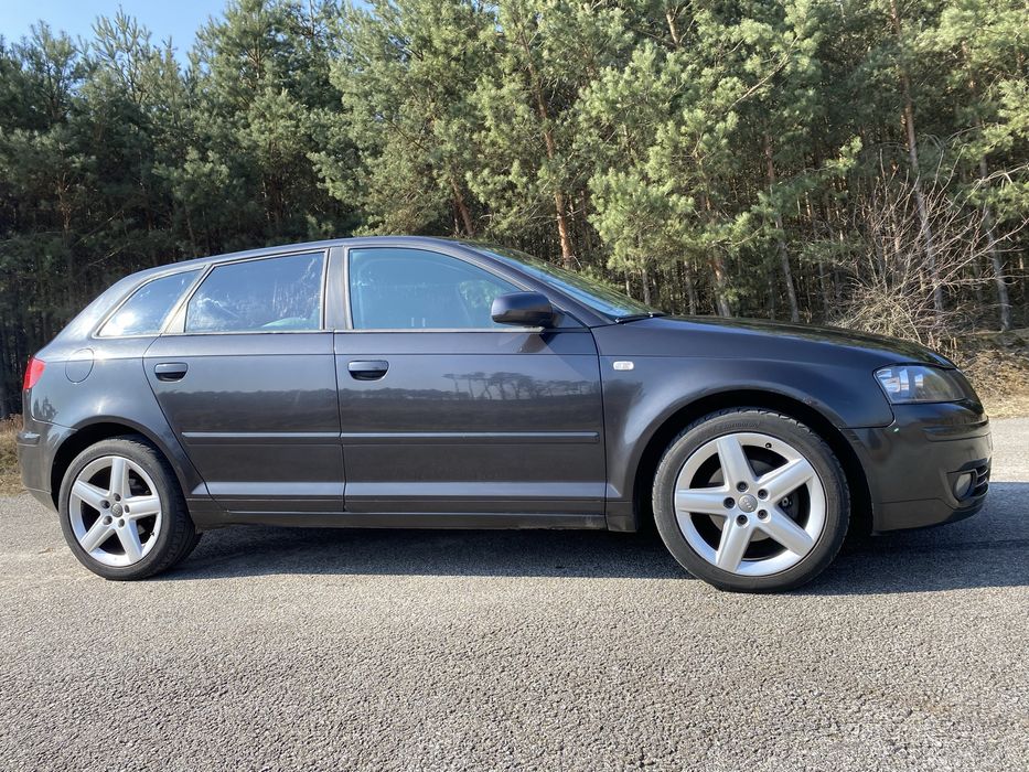 Audi A3 8P 1.9 TDI 2004