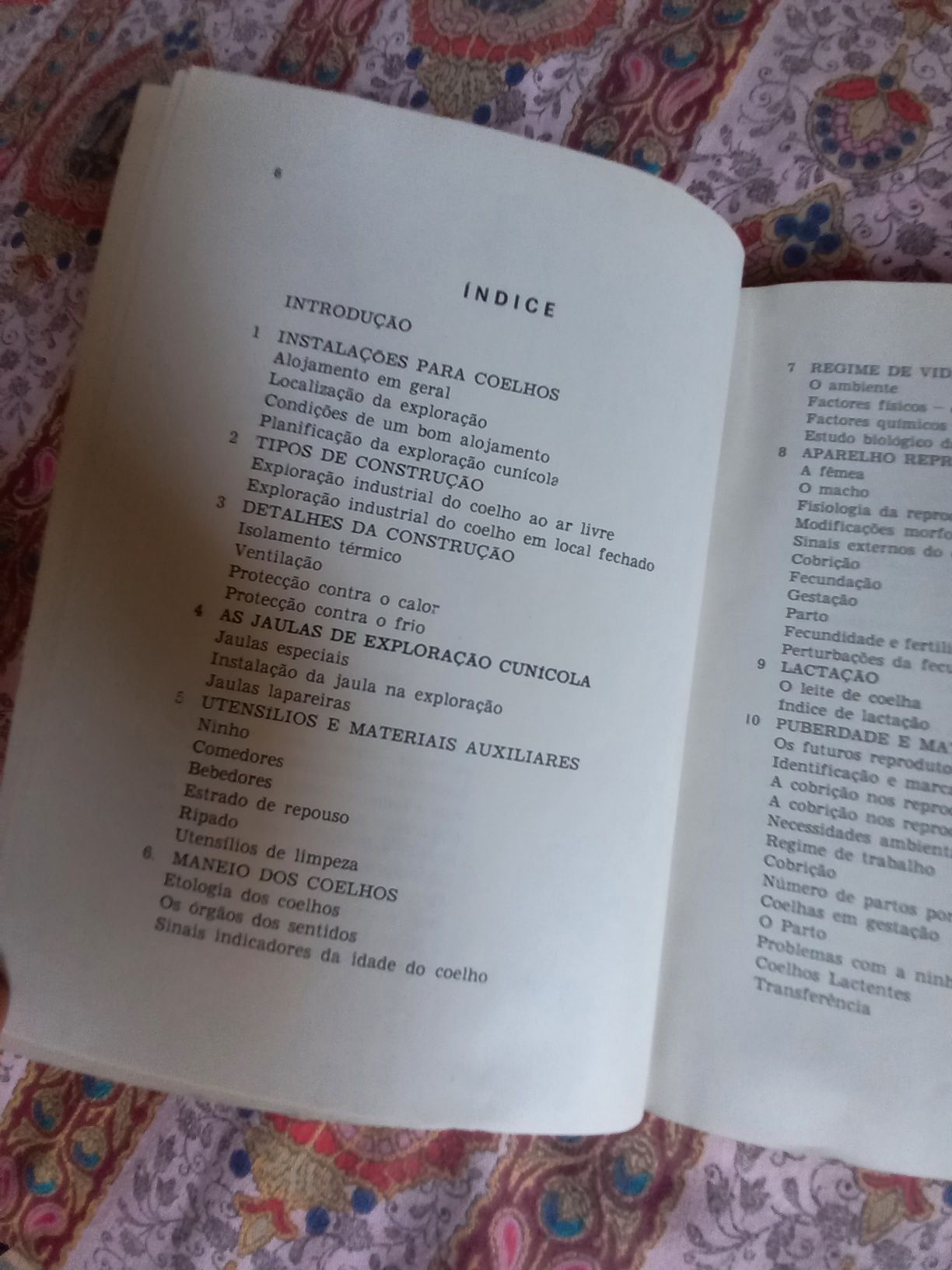 Manual de criação de coelhos