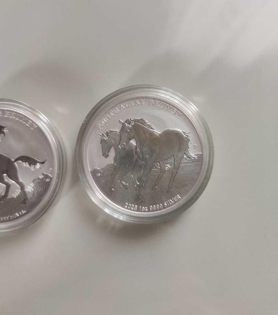 Zestaw Australian Brumby 2020, 2021, 2022, 2023