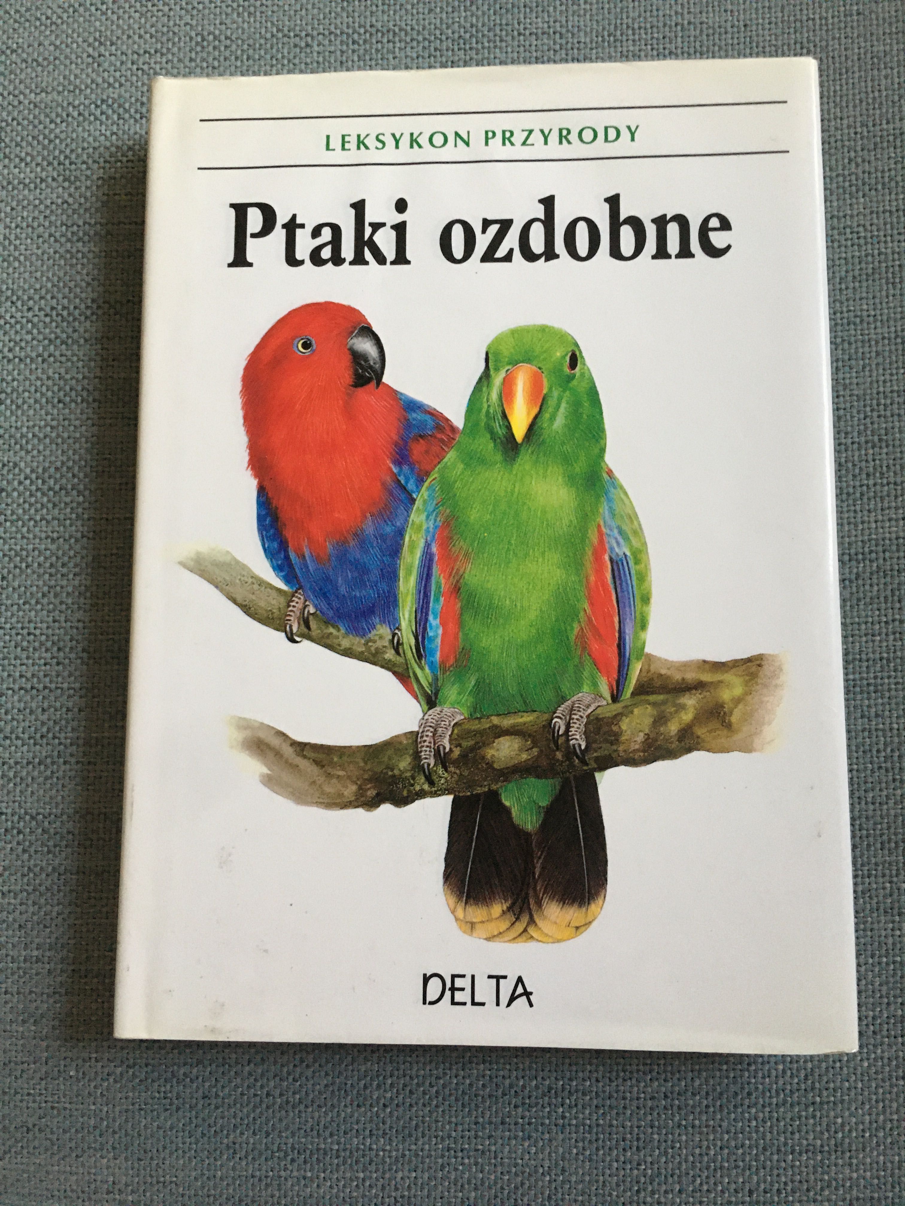 Ptaki ozdobne leksykon przyrody