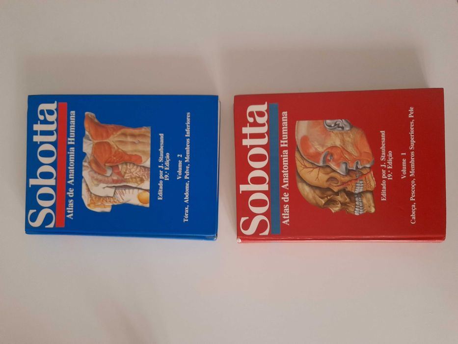 Sobotta 19 Edição