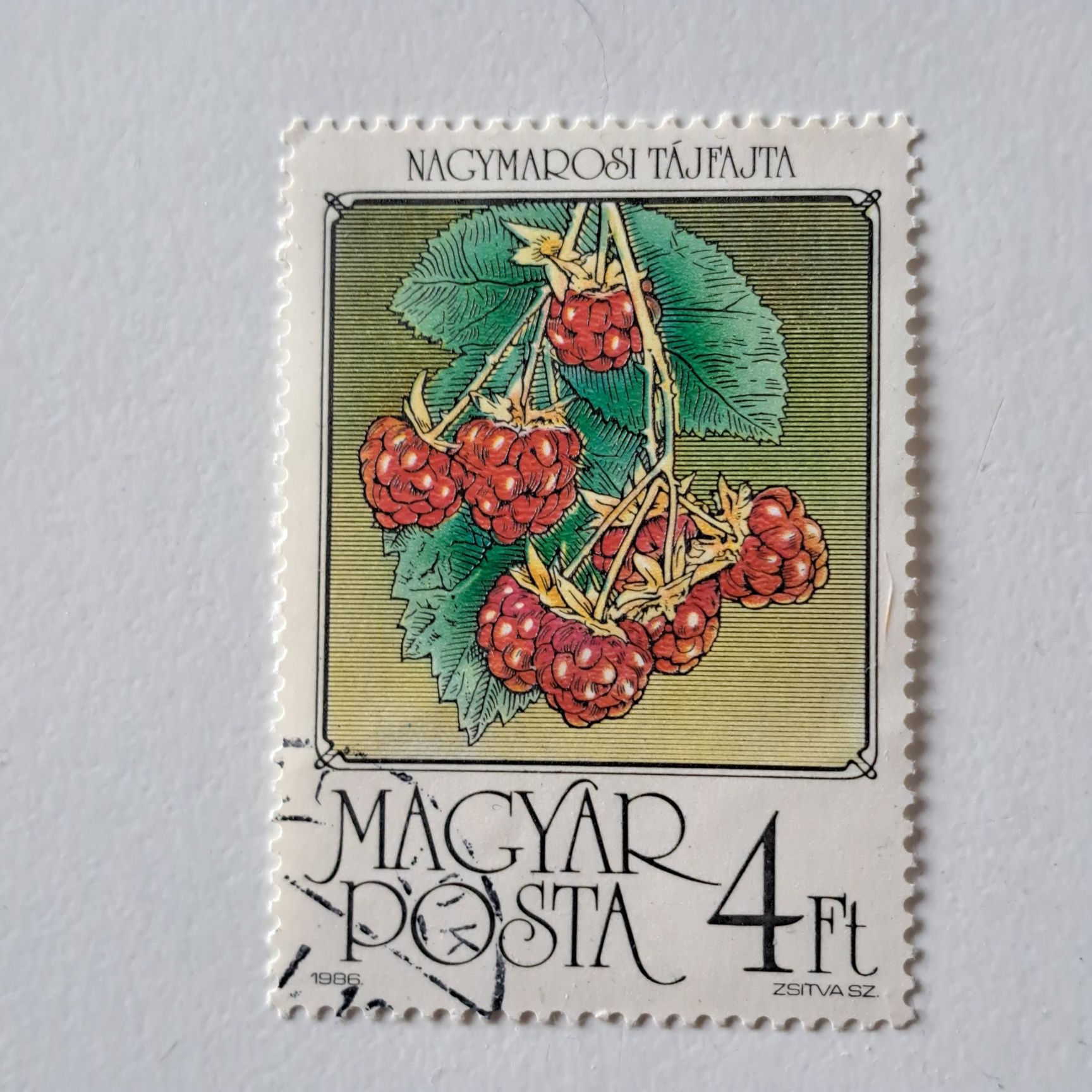 5 węgierskich znaczków pocztowych z motywami owoców (Magyar Posta).