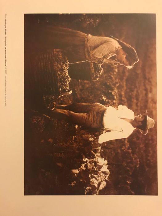 Telas novas, papel de fotografia, quadros famosos e Douro vinhateiro