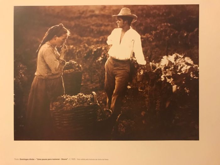 Telas novas, papel de fotografia, quadros famosos e Douro vinhateiro