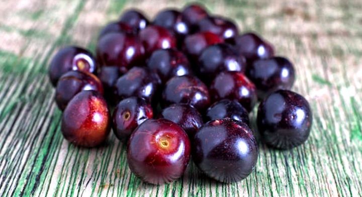 Calabura - Fruta Exótica - A produzir