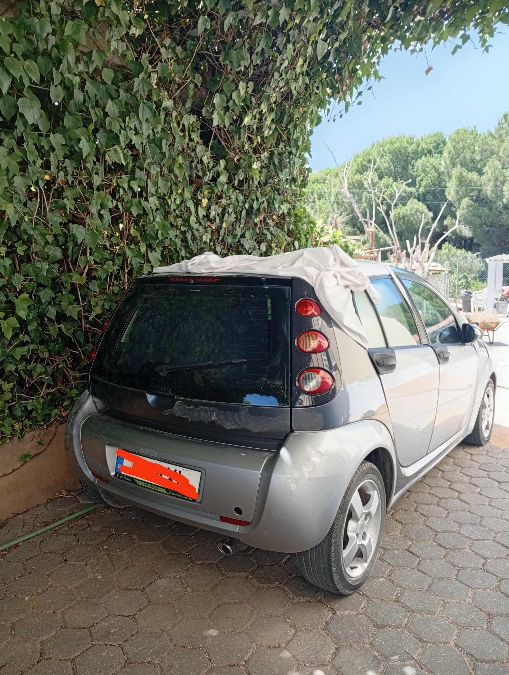 Smart forfour 2005
