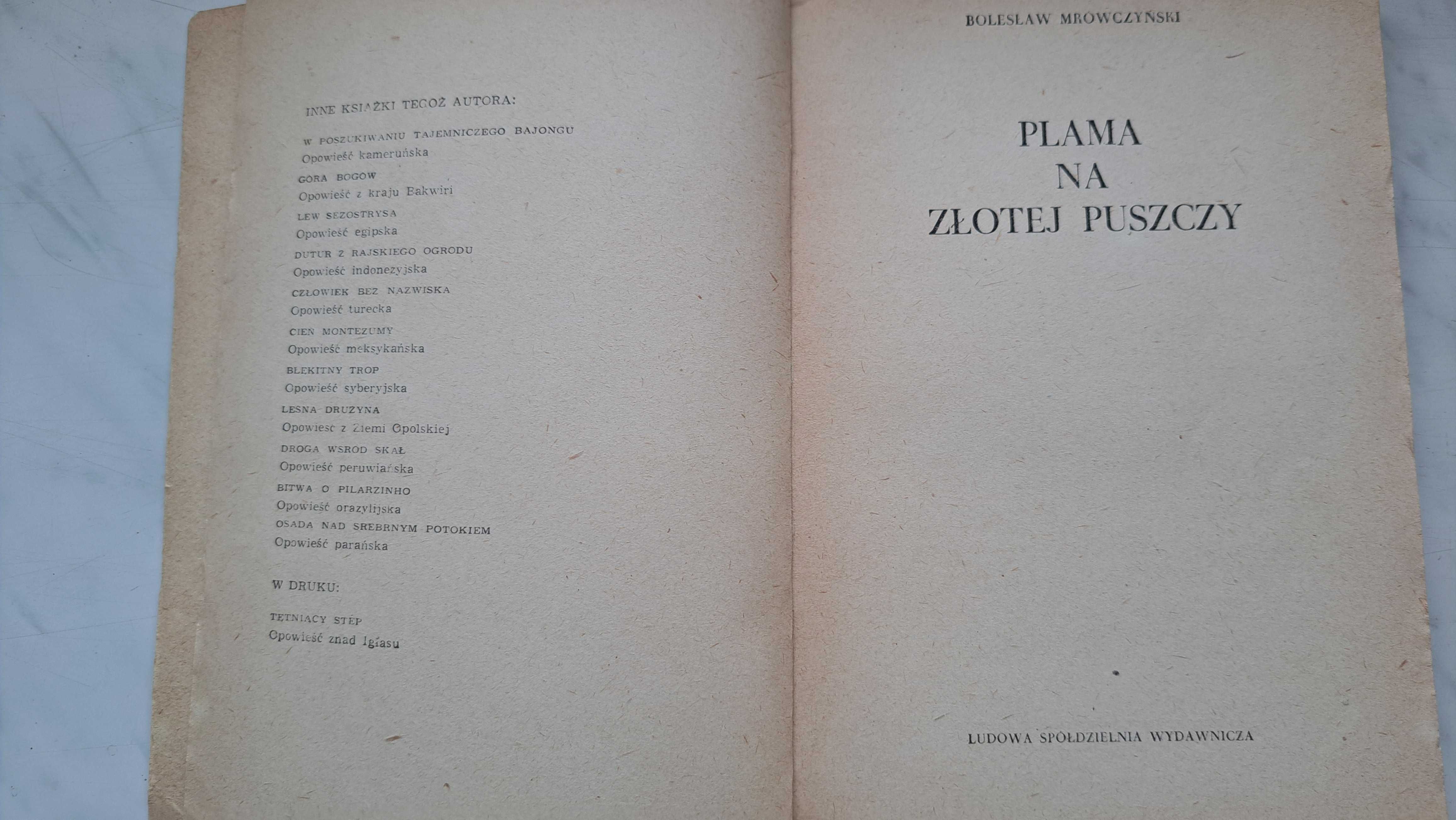 Plama na złotej puszczy - Bolesław Mrówczyński - książka