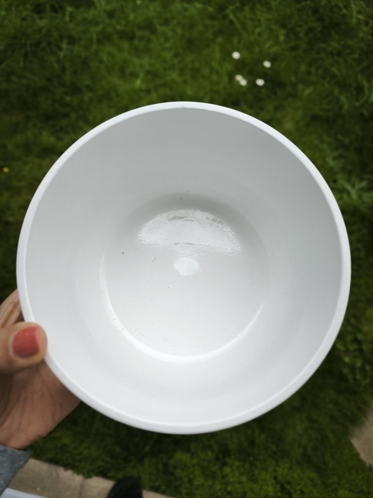Vasos de plantas variados