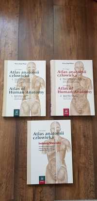 Atlas anatomii człowieka Klopf-Maier 3 tomy