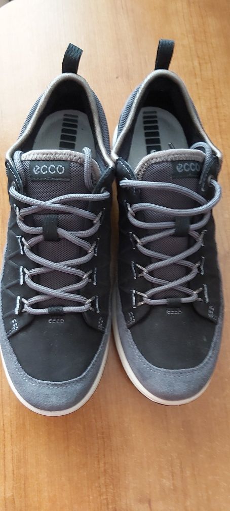 Tenis Ecco n° 36