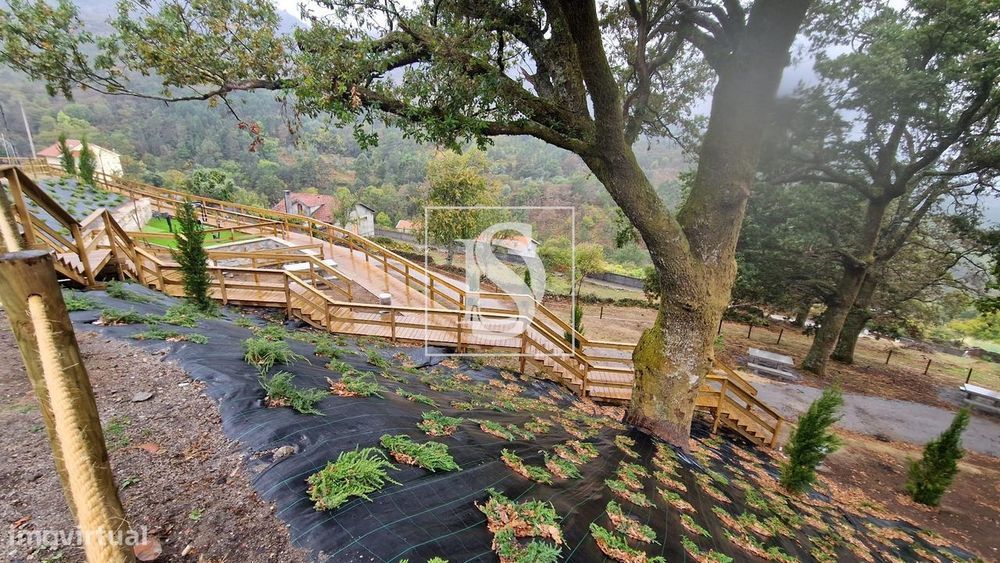 Vivenda de campo e vários terrenos para venda em Zebral, Vieira do Min