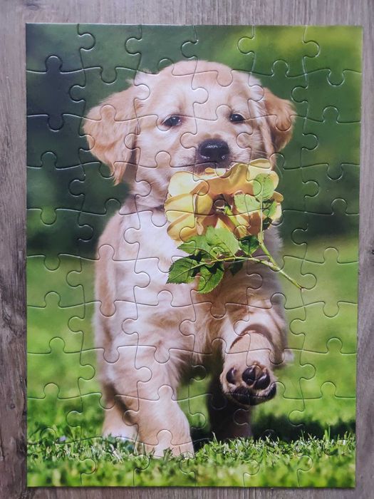 Castorland пазл "Щенок с розой"(Польша) 60 элем. 32х23 см, новый.