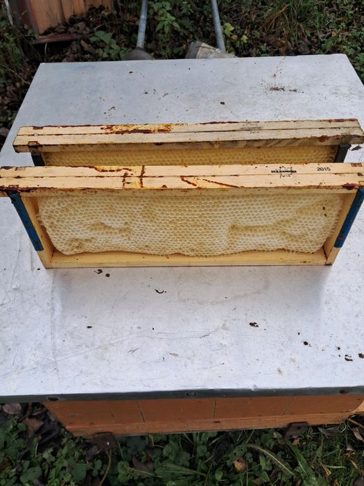 Ramki wielkopolskie hoffmanowskie poszerzane 35 mm z suszem