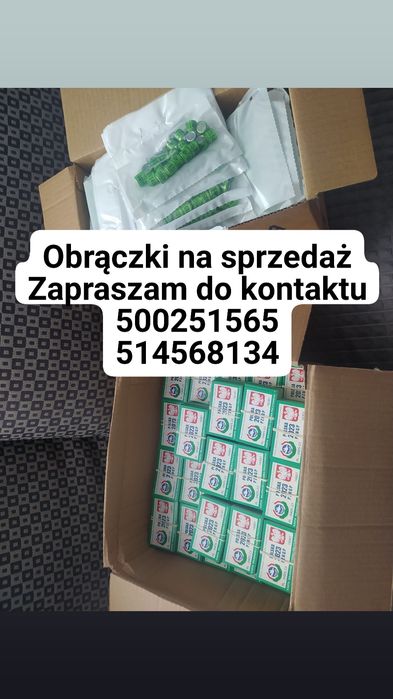 Obrączki PZHGP 2023 z kartami karty