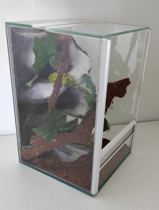 Terrarium dla pająka, nicaragu, AquaWaves, TW02KTP