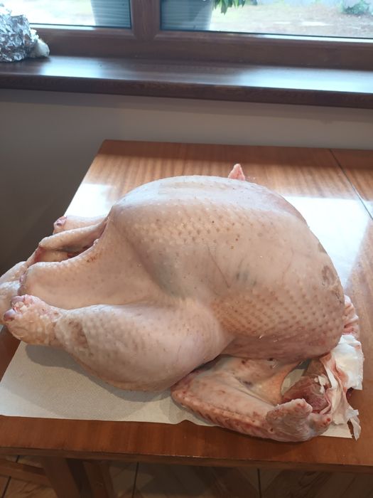 Indyki Brojlery do ubicia