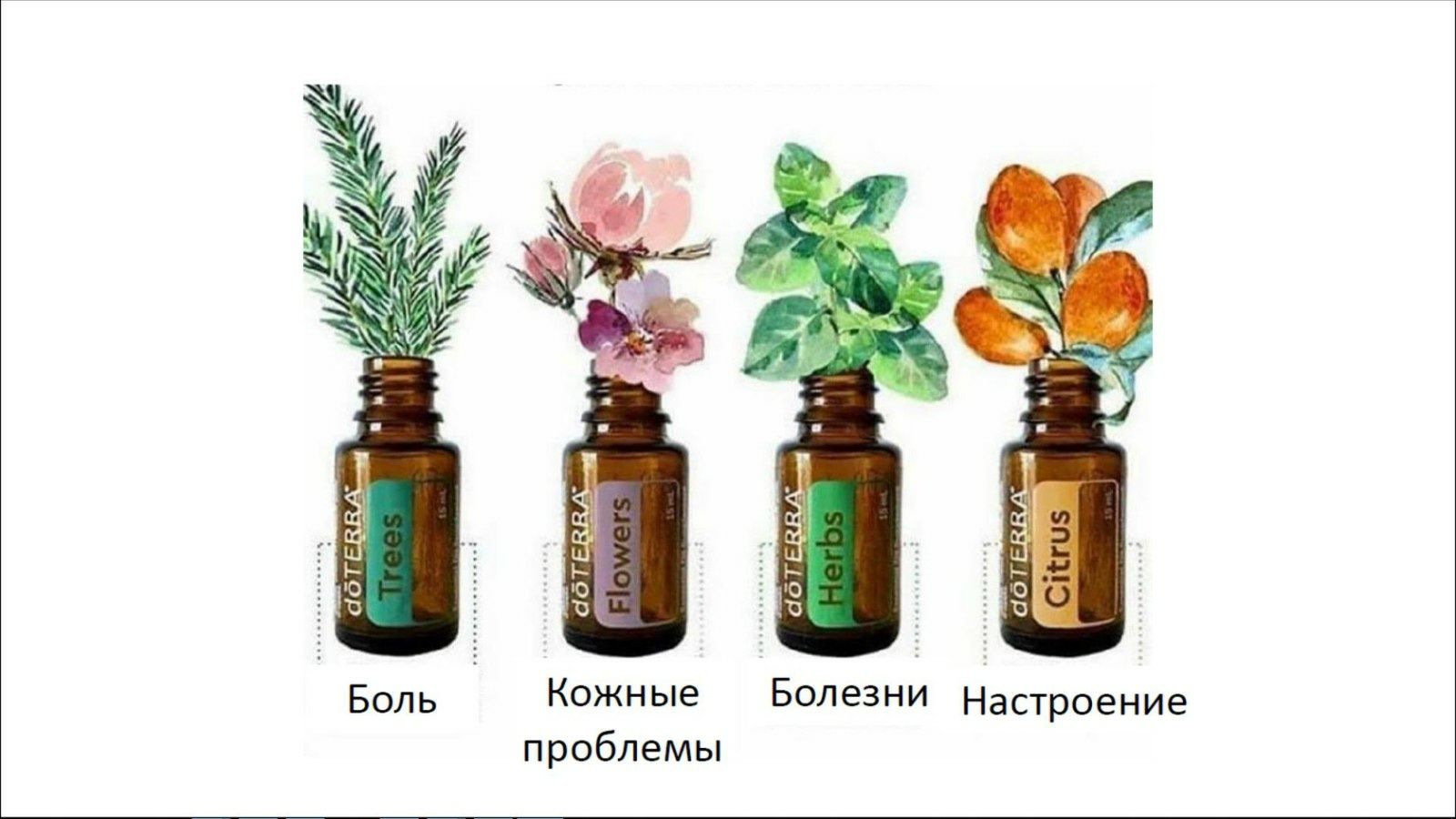 Эфирные Масла doTERRA для здоровья и красоты, эфирные масла #1 в мире