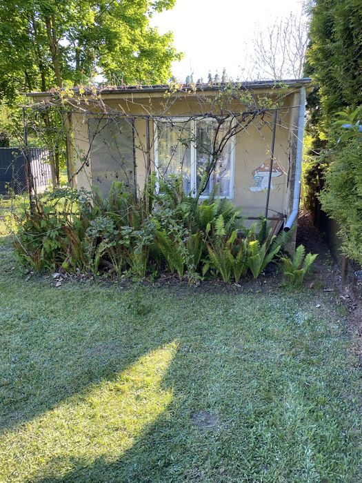 Piękna działka ROD w Rypinie