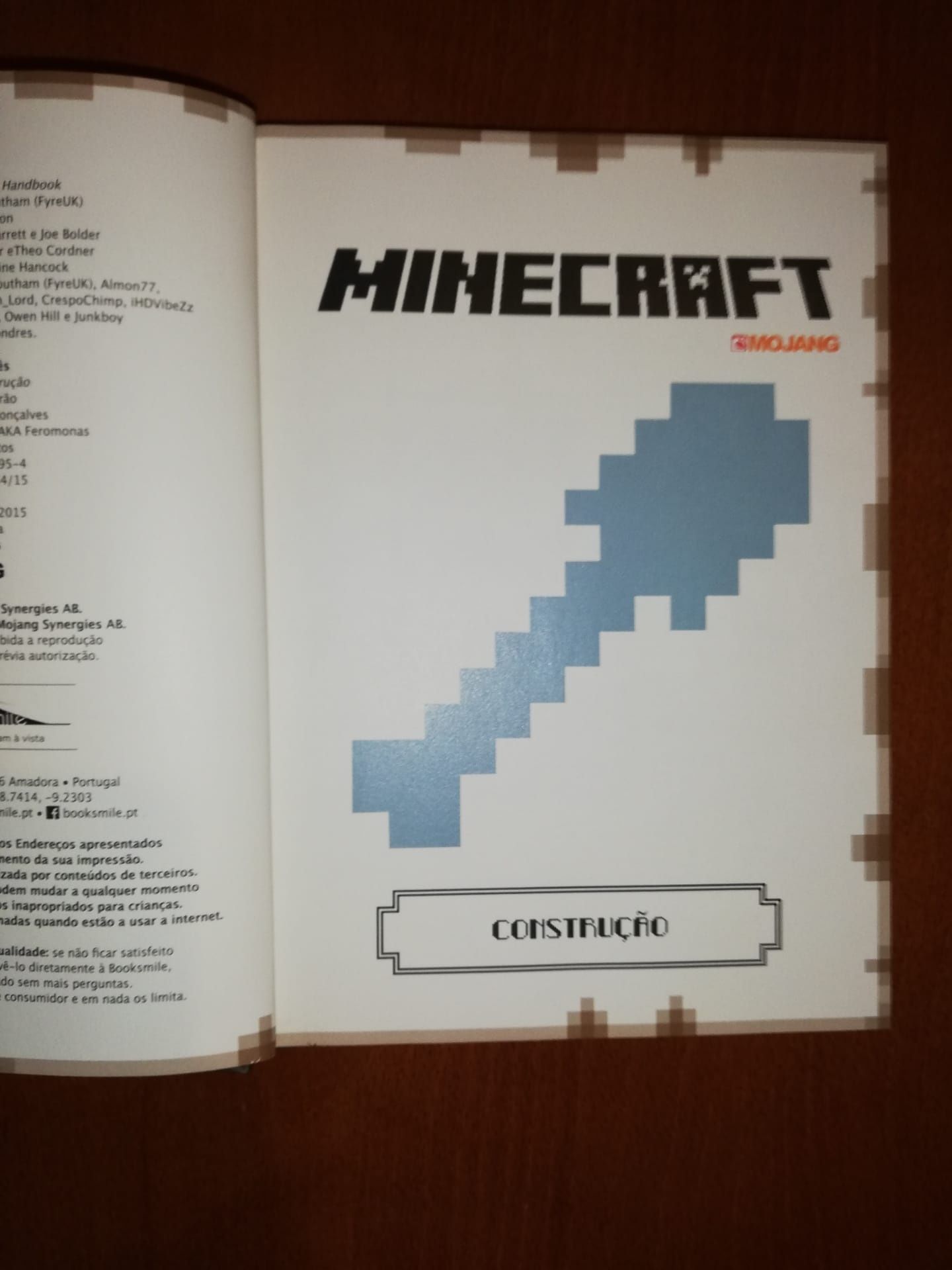 Livro minecraft novo