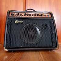 Ever Play TEC20A Acoustic Amplifier Combo do Gitary Akustycznej