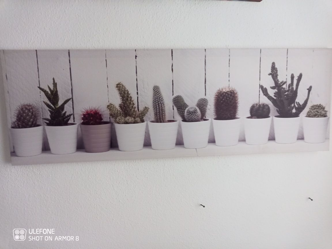 Quadros decorativos