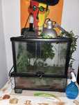 Terrario para camaleao ou reptil