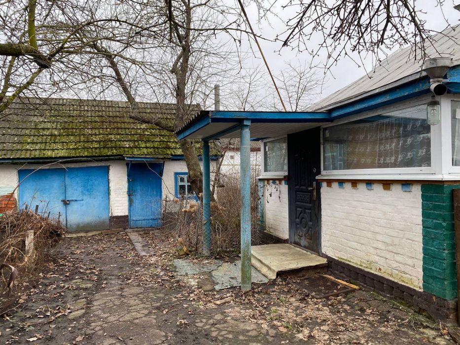 Будинок у селі з господарськими спорудами