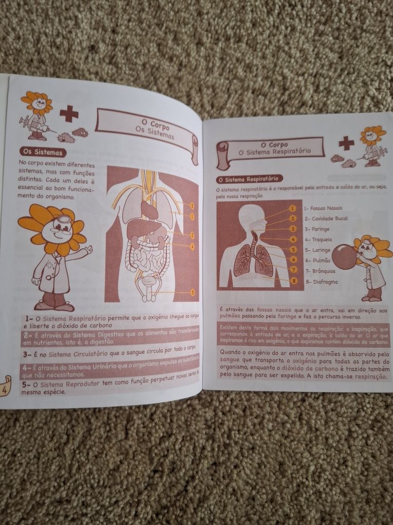 Livro de aprendizagem Estudo do Meio e Aprende o Acordo Ortográfico.